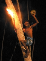 Collecting coconuts, Children of the Sea, Sri Lanka 2005 SriLanka5